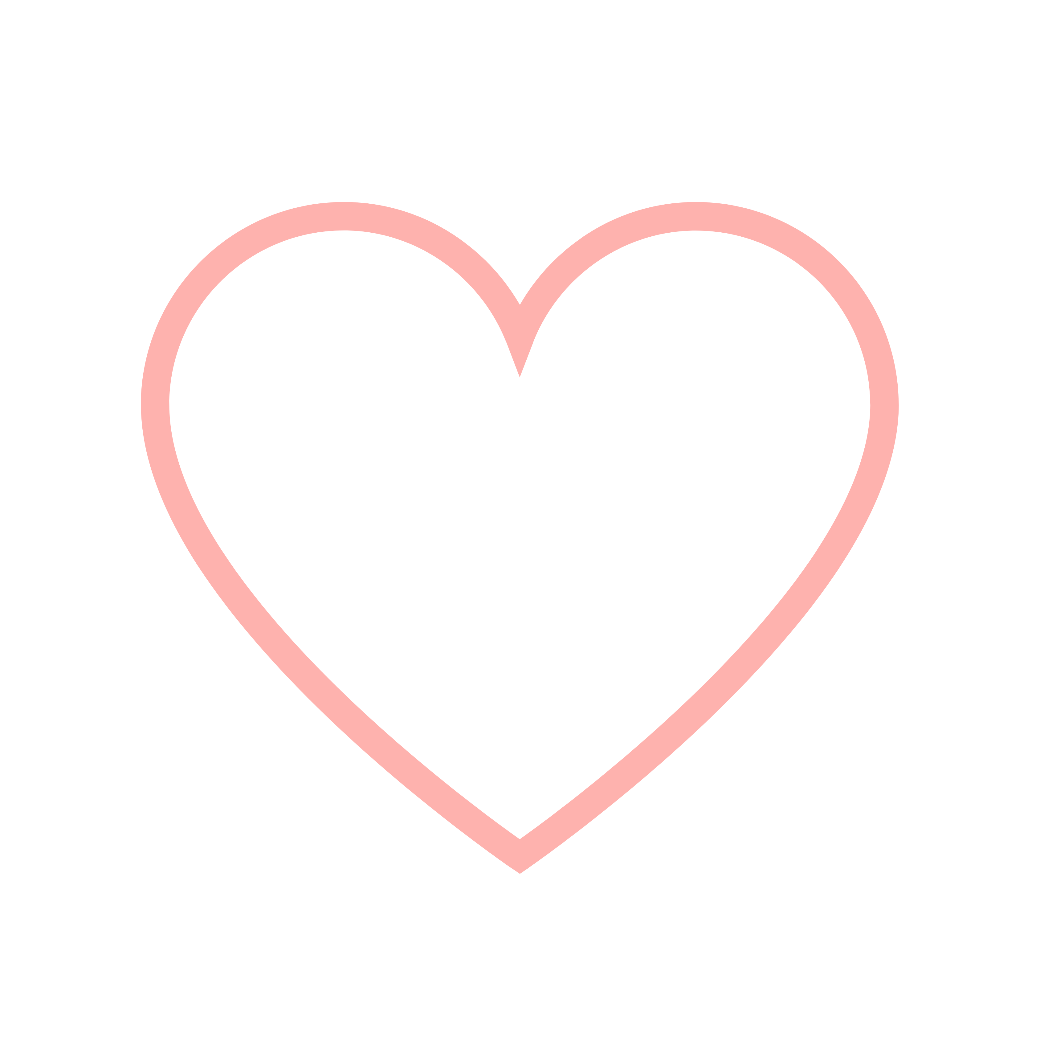 Ícone Confirmação